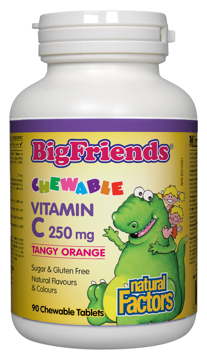 Natural Factors: Chewable Vitamin C 250mg, Tangy Orange, Big Friends 90 Chewable Tablets